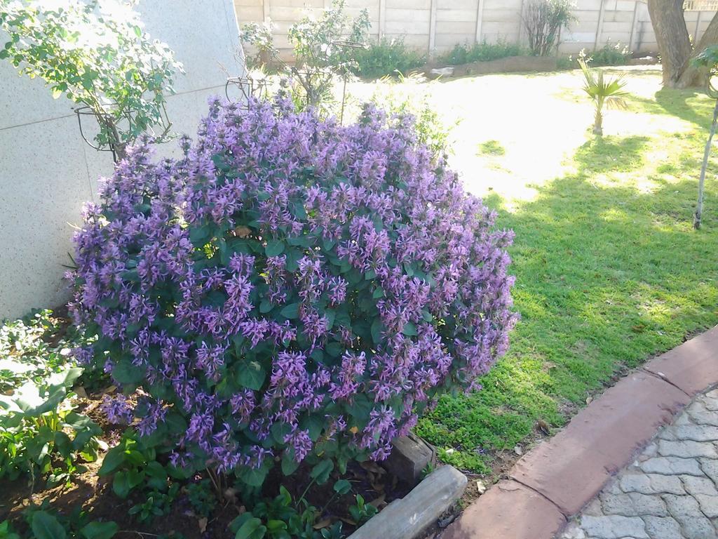 The Lighthouse Guesthouse Welkom Exterior photo